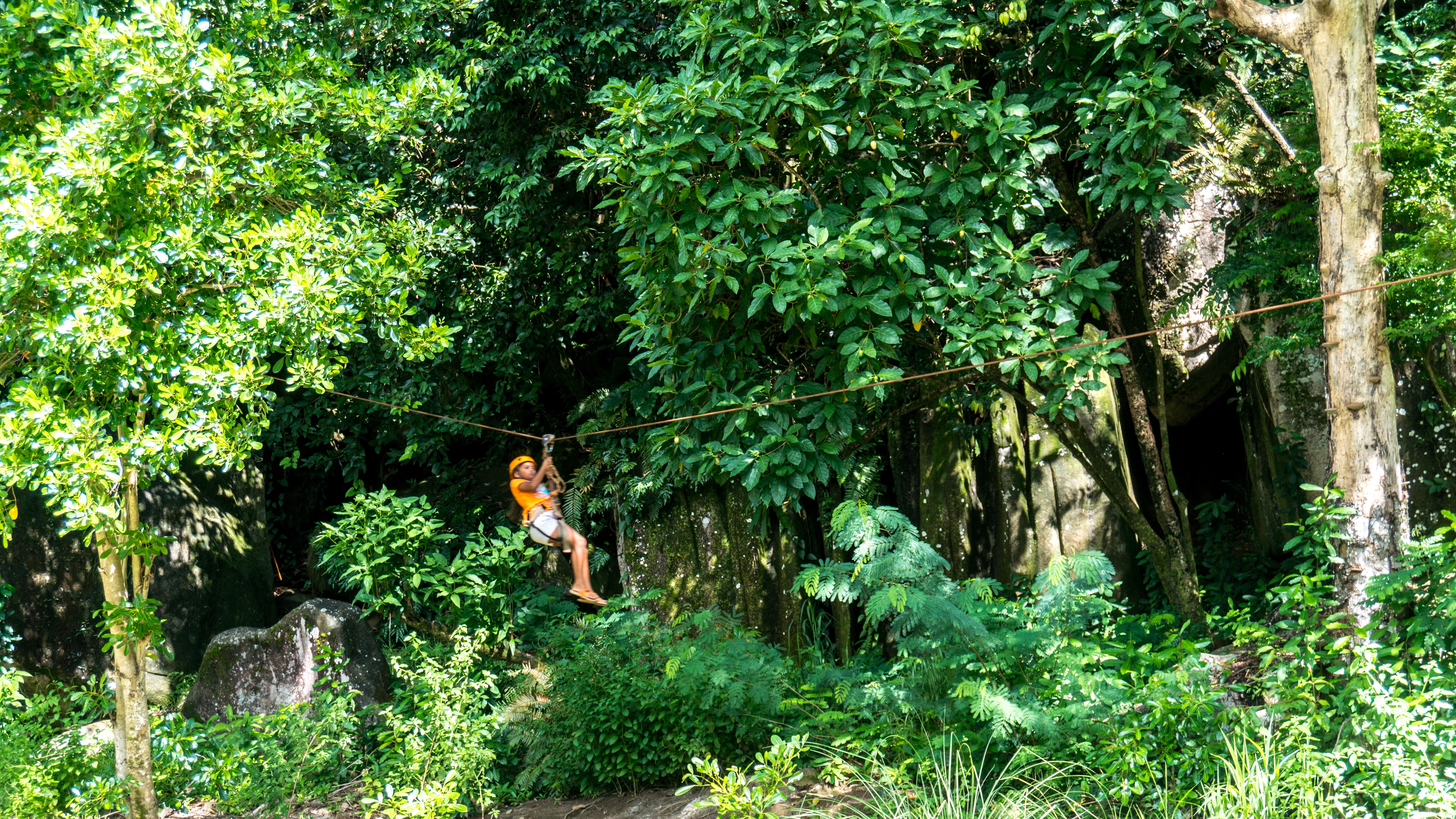 ホテル コンスタンスエペリア ポート・グロード エクステリア 写真 Ziplining at the park